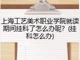 上海工艺美术职业学院就读期间挂科了怎么办呢？(挂科怎么办)