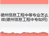 德州信息工程中等专业怎么样(德州信息工程中专如何)