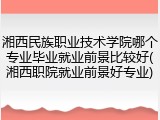 湘西民族职业技术学院哪个专业毕业就业前景比较好(湘西职院就业前景好专业)