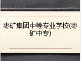 枣矿集团中等专业学校(枣矿中专)