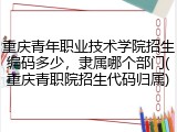 重庆青年职业技术学院招生编码多少，隶属哪个部门(重庆青职院招生代码归属)