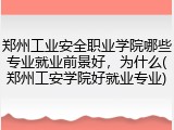 郑州工业安全职业学院哪些专业就业前景好，为什么(郑州工安学院好就业专业)