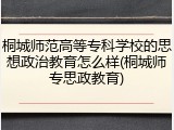 桐城师范高等专科学校的思想政治教育怎么样(桐城师专思政教育)