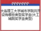 大连理工大学城市学院共开设有哪些类型奖学金(大工城院奖学金类型)
