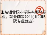 山东铝业职业学院有哪些专业，就业前景如何(山铝职院专业就业)