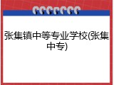 张集镇中等专业学校(张集中专)