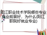 阳江职业技术学院哪些专业就业前景好，为什么(阳江职院好就业专业)