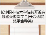 长沙职业技术学院共开设有哪些类型奖学金(长沙职院奖学金种类)