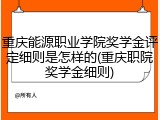 重庆能源职业学院奖学金评定细则是怎样的(重庆职院奖学金细则)