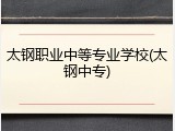太钢职业中等专业学校(太钢中专)