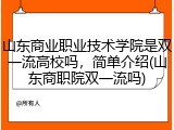 山东商业职业技术学院是双一流高校吗，简单介绍(山东商职院双一流吗)