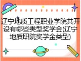 辽宁地质工程职业学院共开设有哪些类型奖学金(辽宁地质职院奖学金类型)