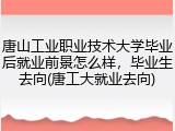 唐山工业职业技术大学毕业后就业前景怎么样，毕业生去向(唐工大就业去向)