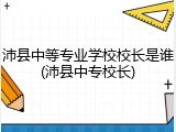 沛县中等专业学校校长是谁(沛县中专校长)