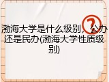 渤海大学是什么级别，公办还是民办(渤海大学性质级别)