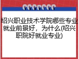 绍兴职业技术学院哪些专业就业前景好，为什么(绍兴职院好就业专业)