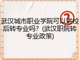 武汉城市职业学院可以进校后转专业吗？(武汉职院转专业政策)