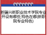 新疆兴新职业技术学院专业开设有哪些,特色在哪(新职院专业特色)