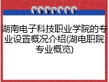 湖南电子科技职业学院的专业设置概况介绍(湖电职院专业概览)