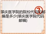 肇庆医学院的院校代码和邮编是多少(肇庆医学院代码邮编)