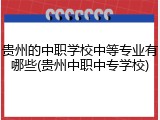 贵州的中职学校中等专业有哪些(贵州中职中专学校)