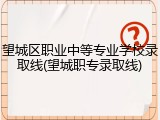 望城区职业中等专业学校录取线(望城职专录取线)