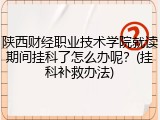 陕西财经职业技术学院就读期间挂科了怎么办呢？(挂科补救办法)