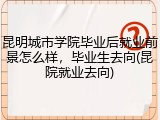 昆明城市学院毕业后就业前景怎么样，毕业生去向(昆院就业去向)