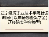 辽宁经济职业技术学院就读期间可以申请哪些奖学金(辽经院奖学金类型)