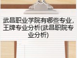 武昌职业学院有哪些专业，王牌专业分析(武昌职院专业分析)