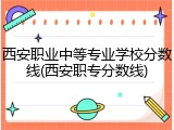 西安职业中等专业学校分数线(西安职专分数线)