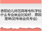贵阳幼儿师范高等专科学校什么专业就业比较好，原因是啥(幼专就业优专业)