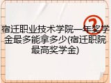宿迁职业技术学院一年奖学金最多能拿多少(宿迁职院最高奖学金)
