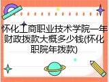 怀化工商职业技术学院一年财政拨款大概多少钱(怀化职院年拨款)