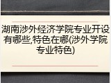 湖南涉外经济学院专业开设有哪些,特色在哪(涉外学院专业特色)