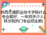 陕西交通职业技术学院什么专业最好，一年招多少人(陕交院热门专业招生数)