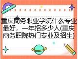 重庆商务职业学院什么专业最好，一年招多少人(重庆商务职院热门专业及招生)