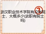 武汉职业技术学院有没有院士，大概多少(武职有院士吗)
