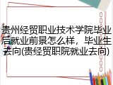 贵州经贸职业技术学院毕业后就业前景怎么样，毕业生去向(贵经贸职院就业去向)