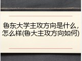鲁东大学主攻方向是什么，怎么样(鲁大主攻方向如何)