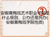 安徽黄梅戏艺术职业学院是什么级别，公办还是民办(安徽黄梅戏学院性质)