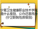 宁夏卫生健康职业技术学院是什么级别，公办还是民办(宁卫职院性质级别)