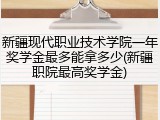 新疆现代职业技术学院一年奖学金最多能拿多少(新疆职院最高奖学金)