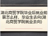 湖北商贸学院毕业后就业前景怎么样，毕业生去向(湖北商贸学院就业去向)