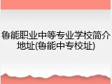 鲁能职业中等专业学校简介地址(鲁能中专校址)