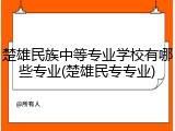 楚雄民族中等专业学校有哪些专业(楚雄民专专业)
