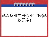 武汉职业中等专业学校(武汉职专)