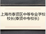 上海市奉贤区中等专业学校校长(奉贤中专校长)