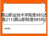 眉山职业技术学院是985还是211(眉山职院是985吗)