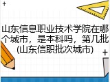 山东信息职业技术学院在哪个城市，是本科吗，第几批(山东信职批次城市)